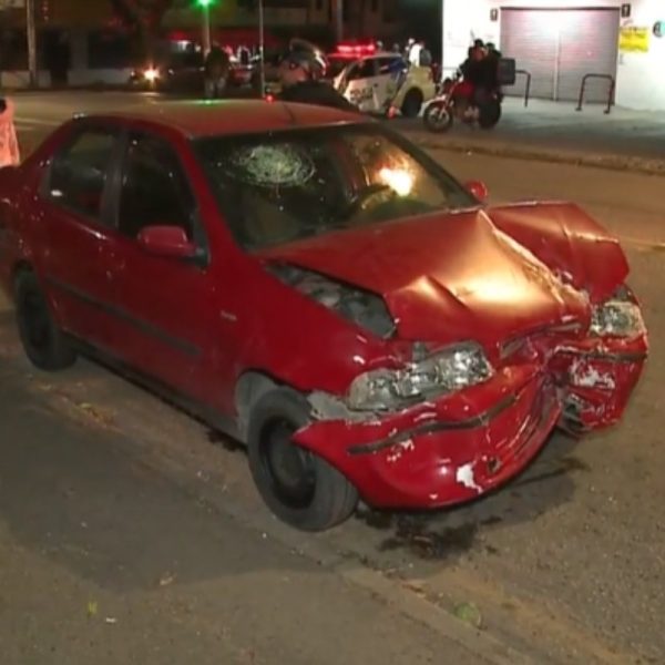 O animal foi exposto morto na rua