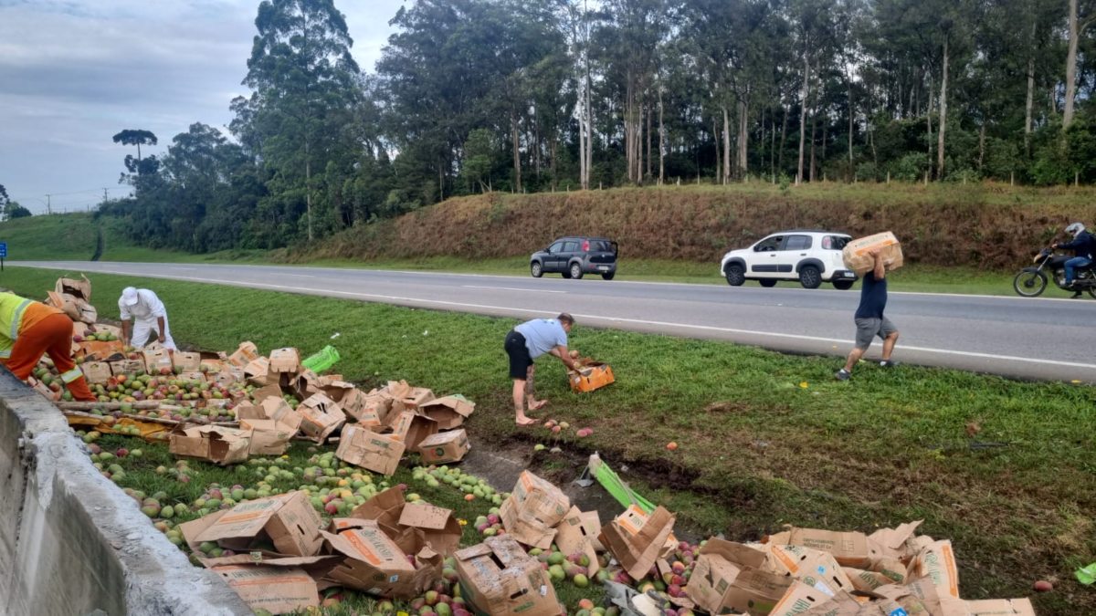 Populares realizam saque de carga de manga no Contorno Leste 