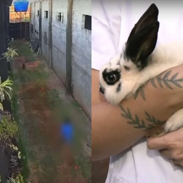 Dois homens são mortos a tiros durante festa de Dia das Crianças em Curitiba; vídeo