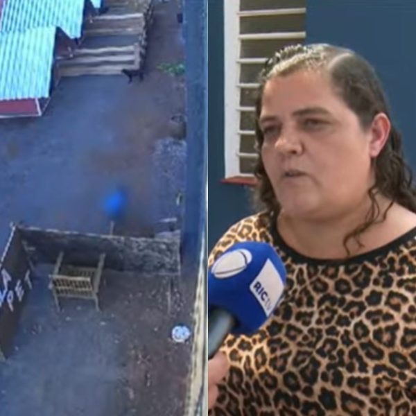 Criança que matou 23 animais no PR não será punida; entenda lei