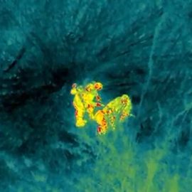 Drones térmicos encontram fugitivos em mata no Paraná