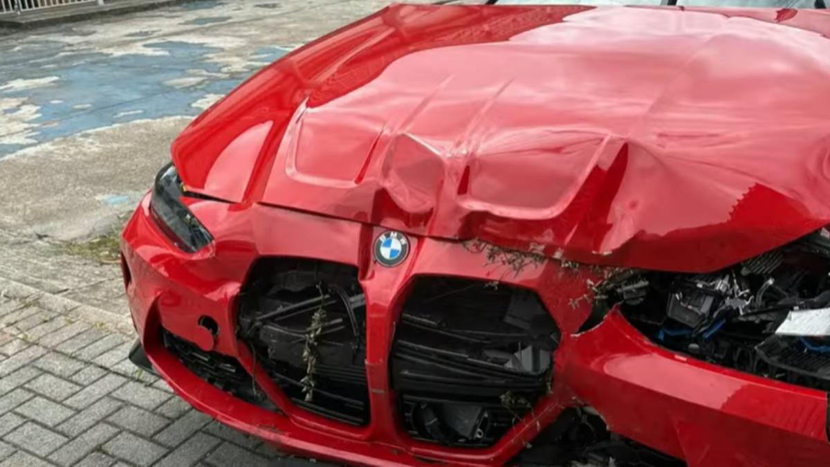 Oito jovens que estavam em BMW que colidiu em muro seriam estudantes de medicina