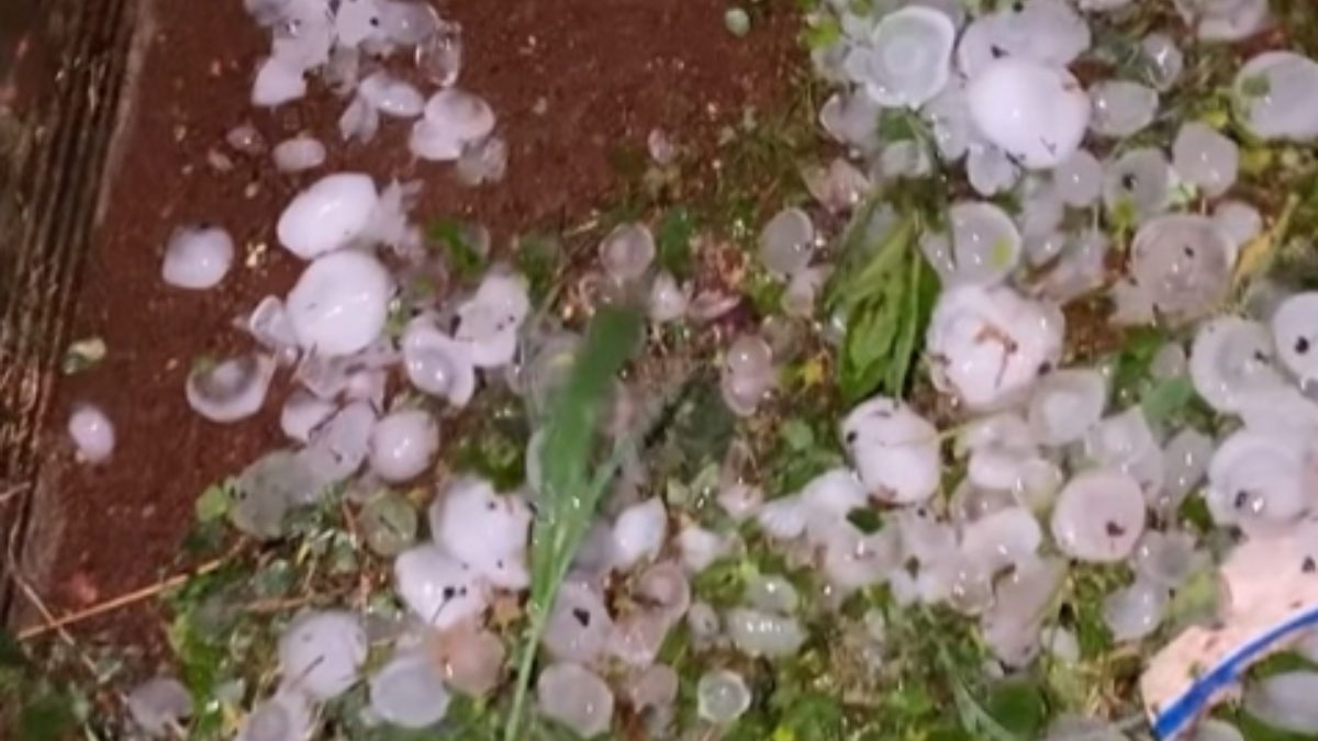 Temporal e chuva de granizo deixam estragos no Oeste do Paraná; veja imagens
