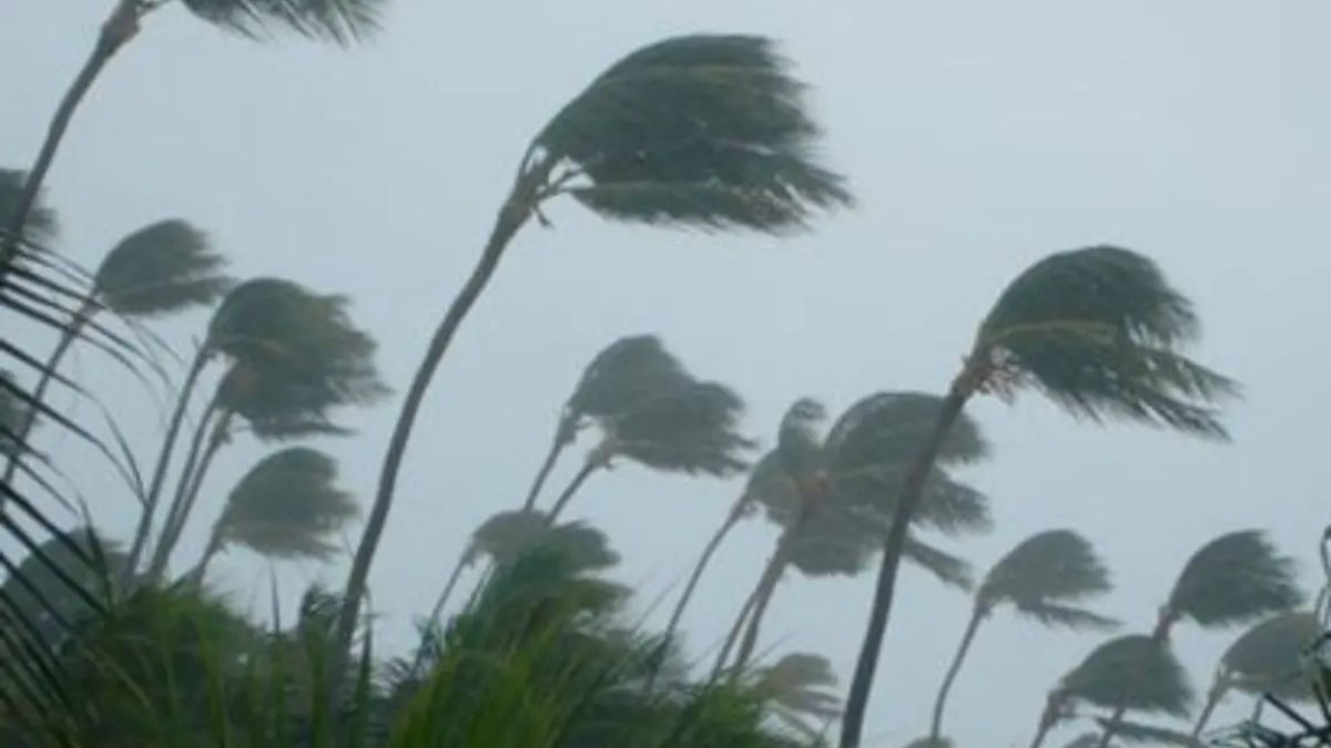 Temporal atinge parte do Paraná com rajadas de vento de 60 km/h; veja onde