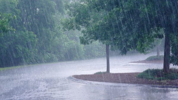 Previsão do tempo para Curitiba hoje (01/10/2024), segundo o Climatempo