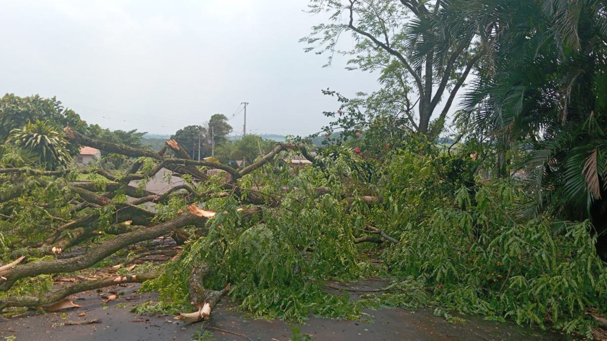 tAs fortes chuvas registradas na Região Oeste do Paraná causaram danos e provocaram o bloqueio de duas rodovias no início da tarde desta quinta-feira (24). A tempestade, acompanhada por fortes ventos, derrubou postes e árvores em diversas cidades da região. 