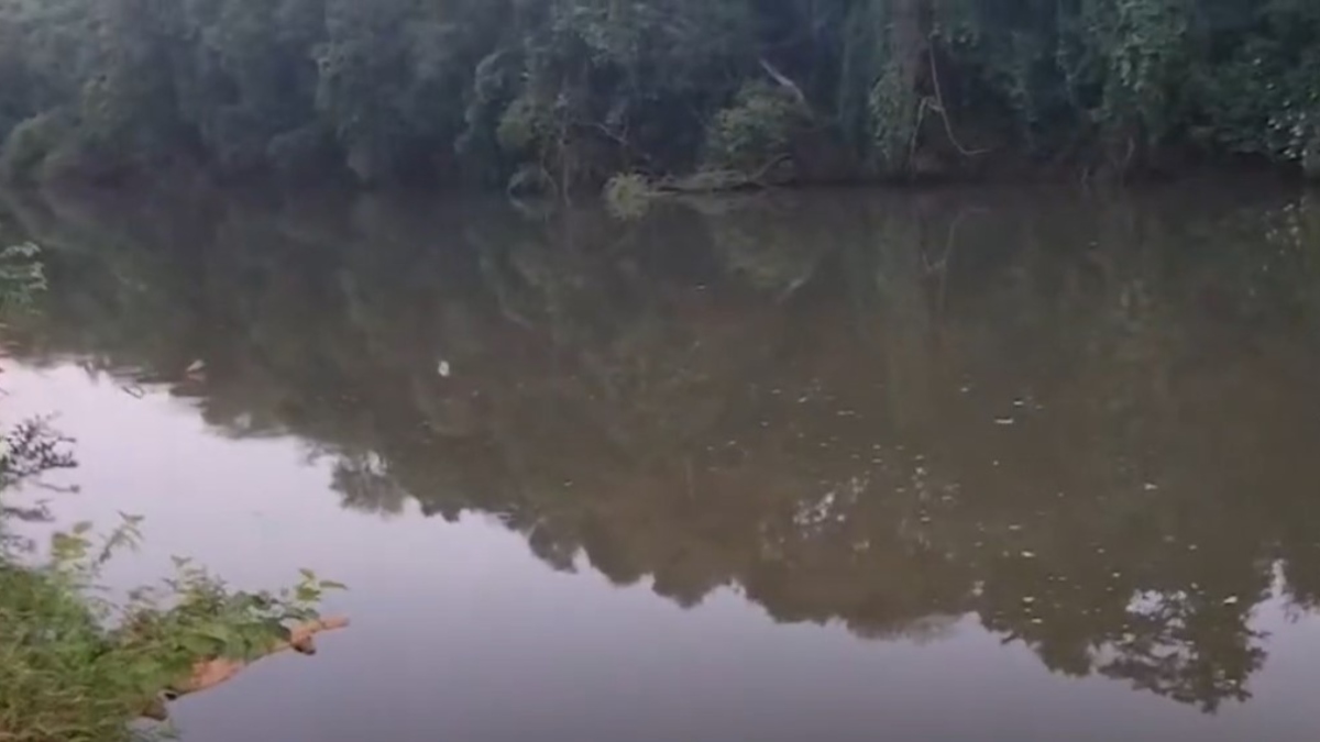 Um adolescente morreu afogado em um recanto do Rio Pato Branco, em Clevelândia, no sul do Paraná, no sábado (16) de manhã. Gabriel Henrik dos Santos de Lima, de 13 anos, aproveitava o feriado prolongado com a família quando entrou no rio e submergiu. Familiares ainda tentaram salvá-lo do afogamento, mas sem sucesso.