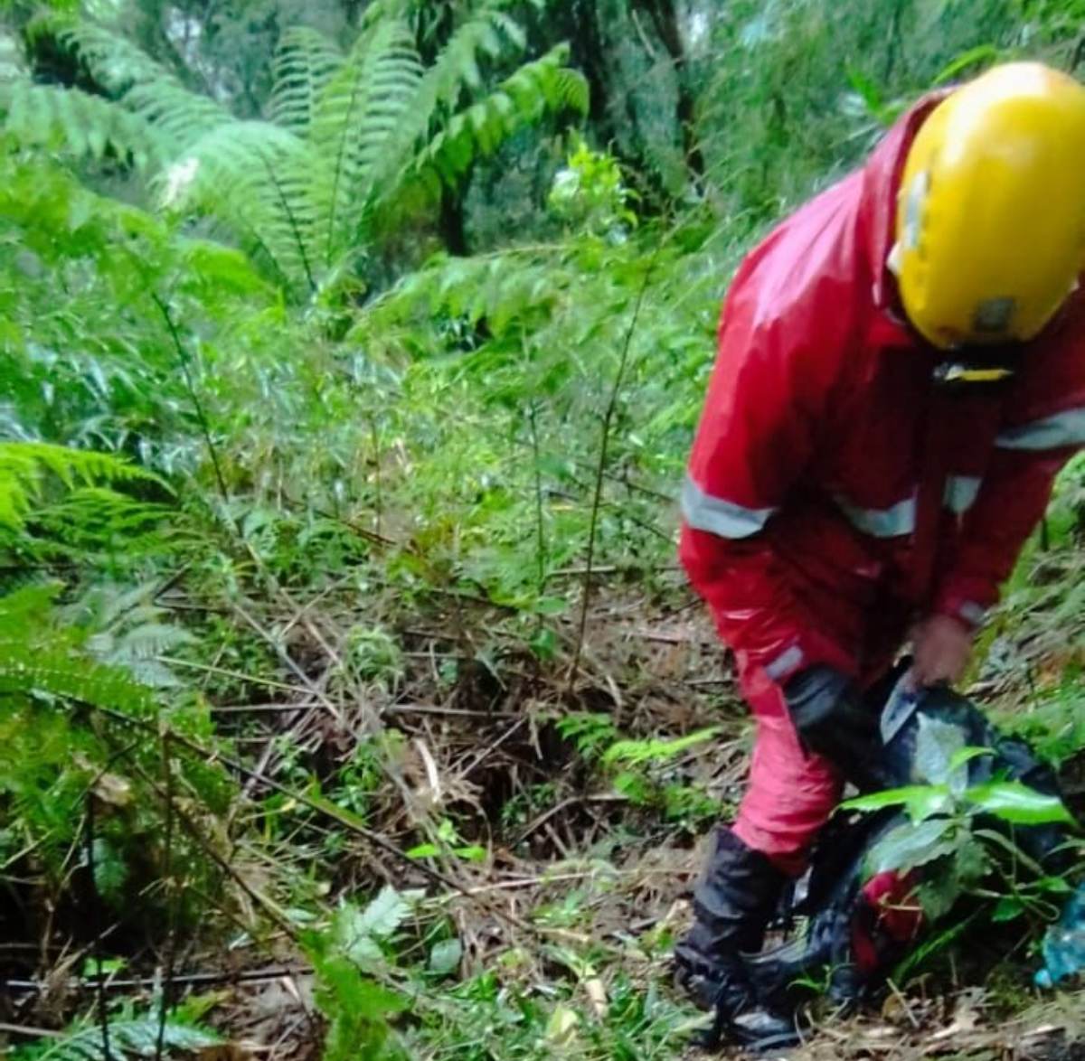 O Grupo de Operações de Socorro Tático (GOST) do Corpo de Bombeiros segue nesta segunda-feira (4) com as buscas por dois jovens que sumiram quando faziam uma trilha entre dois morros na Serra do Ibitiraquire, em Campina Grande do Sul, Região Metropolitana de Curitiba. De acordo com informações dos familiares dos jovens, eles afirmaram a outros montanhistas que iriam se deslocar do Morro Taibapuçu até o Pico Ferraria, que fazem parte do complexo do Pico Paraná.