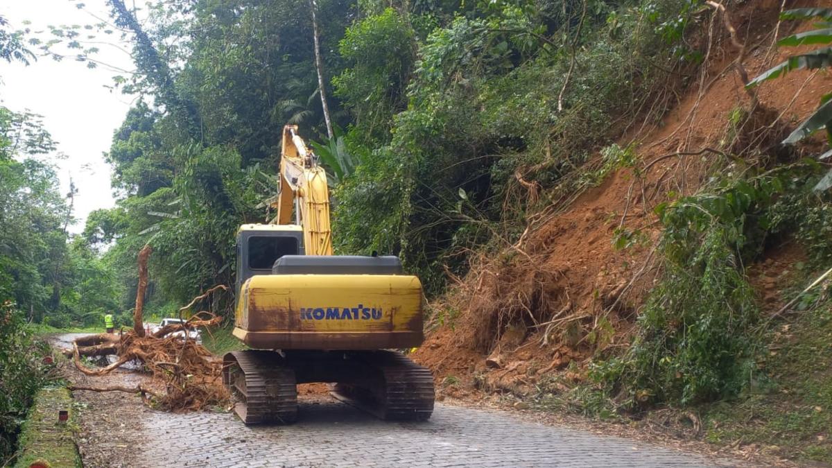 Estrada da Graciosa terá restrições de tráfego para retirada de árvores caídas