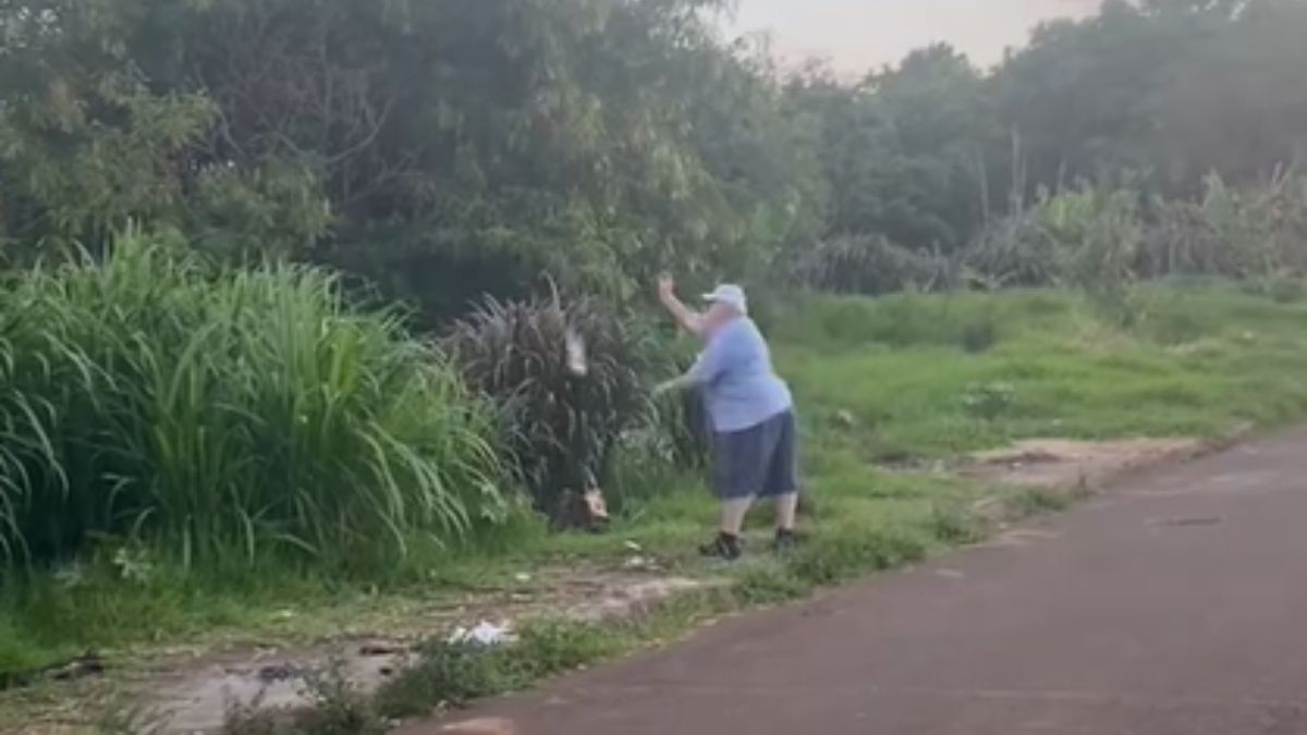 Idoso é flagrado arremessando gato em rio, no PR; suspeito é preso