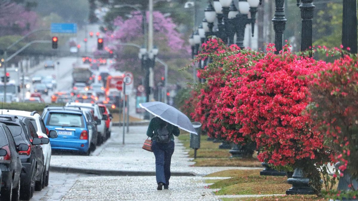 Previsão do tempo para Curitiba amanhã (08/11/2024), segundo o Climatempo