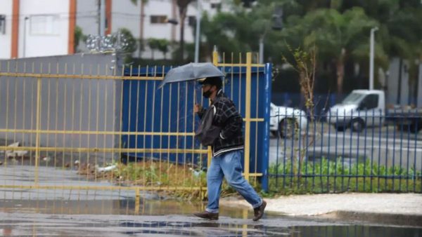 Frente fria no Paraná traz risco de temporal e rajadas de vento de 90 km/h