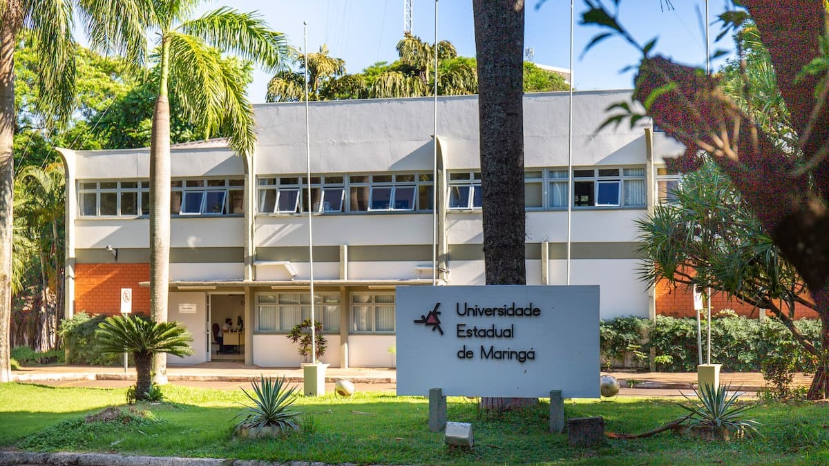 Universidade Estadual de Maringá (UEM)